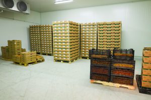 IMG_0357