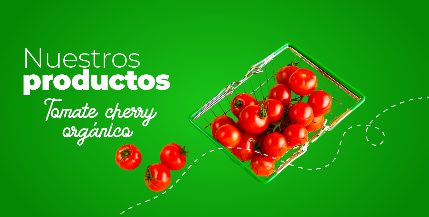 PÁGINA-WEB-KATARA-12