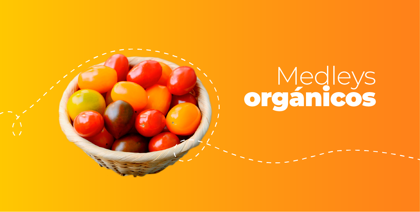 PÁGINA-WEB-KATARA-19