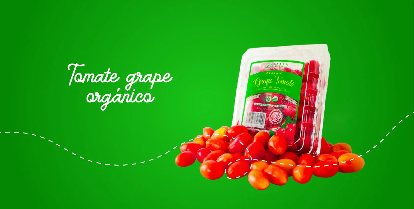 PAGINA-WEB-KATARA-20