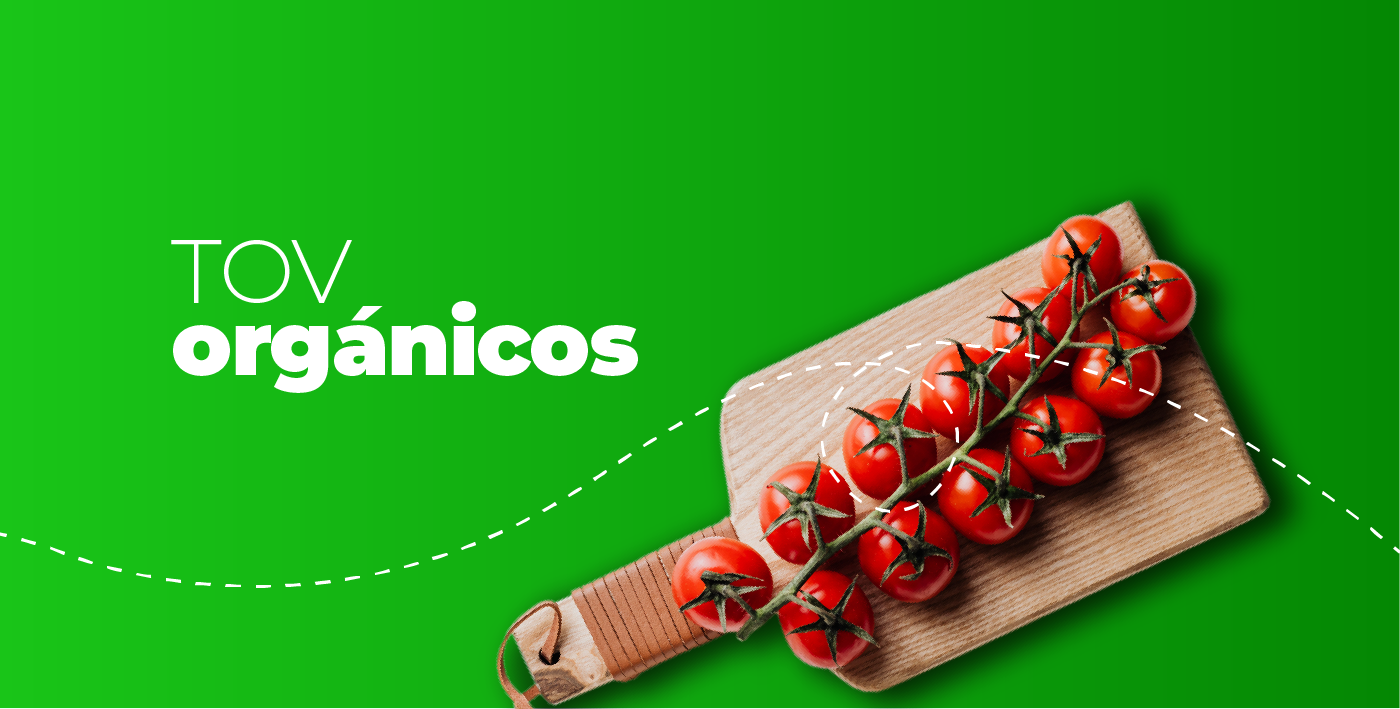 PÁGINA-WEB-KATARA-21